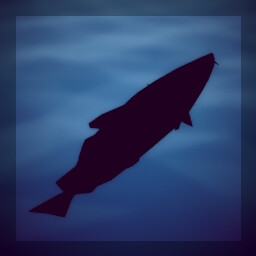 How to Fish achievement: Yummy in my tummy